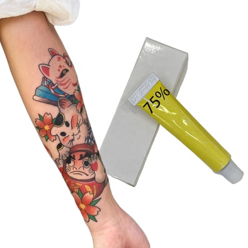 Professional Service Tattoo Aftercare Products Makeup Supplies 75% Tattoo Cream Ink Pmu Pigment for Eyebrow Micropigmentation