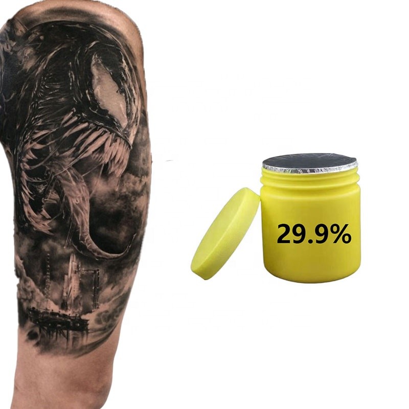 Brand New Product Tattoo Equipment and Supplies 29.9% Tattoo Cream Pigment with High Retention and Longevity Semi-pmu