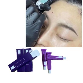 Wholesale of New Materials Tattoo Supplies Tattoo Powder Cream Micropigmentation for Lip & Eyebrow Pmu Pigment Lips Packages