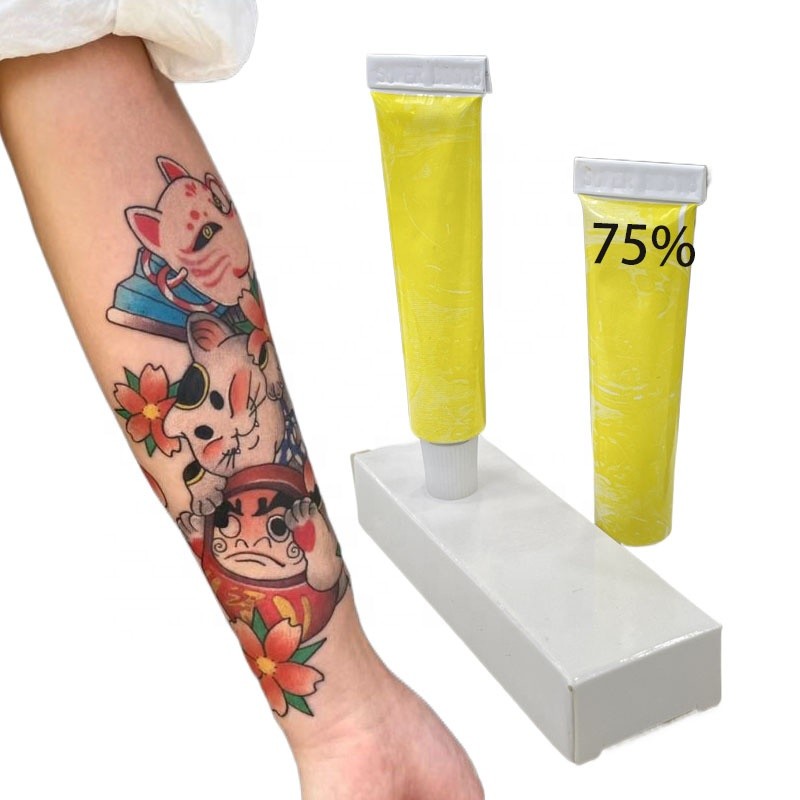 Professional Service Tattoo Aftercare Products Makeup Supplies 75% Tattoo Cream Ink Pmu Pigment for Eyebrow Micropigmentation