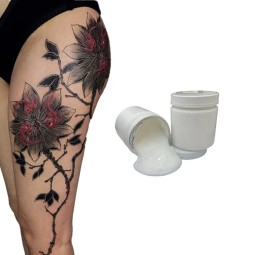 Permanent Makeup Micropigmentation Premium Tattoo Cream Skin Care Private Label 10g 30g 50g Enhanced Tattoo Appearance