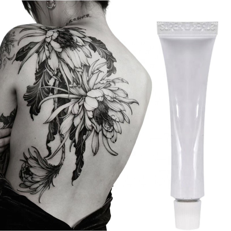 2025 Hot Selling Free Logo Premium 10g Tattoo Cream Tattoo Post Care Permanent Makeup Tattoo Ink
