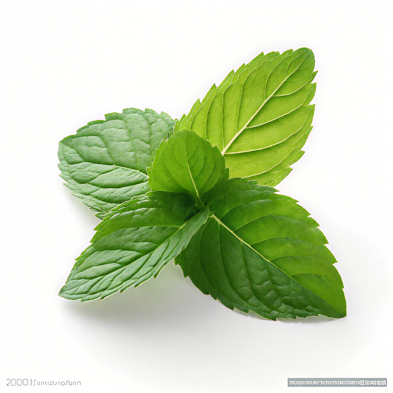 Organic Menthol Slices Manufacturer - Food Grade High Standard for Industrial Flavor