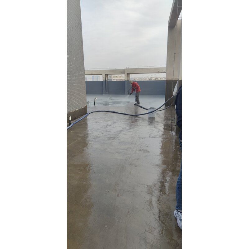 Polyurea Coating Supplier - Super Tensile Strength Spraying