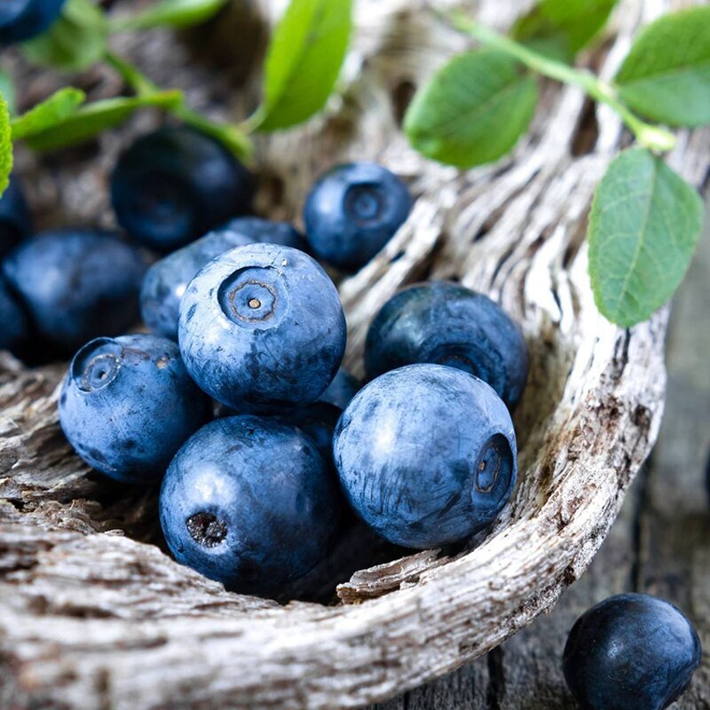 Blueberry Juice Manufacturer - Concentrated 840ml Bottle