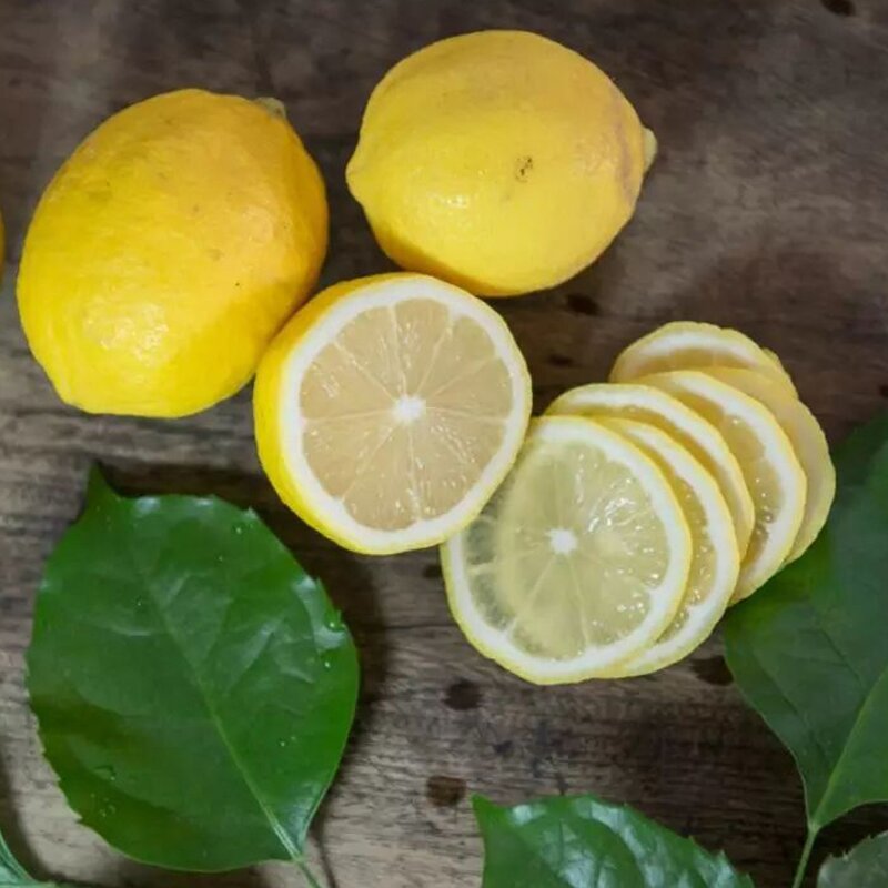 Lemon Juice Manufacturer - High Quality 9 Times Ratio Concentrated