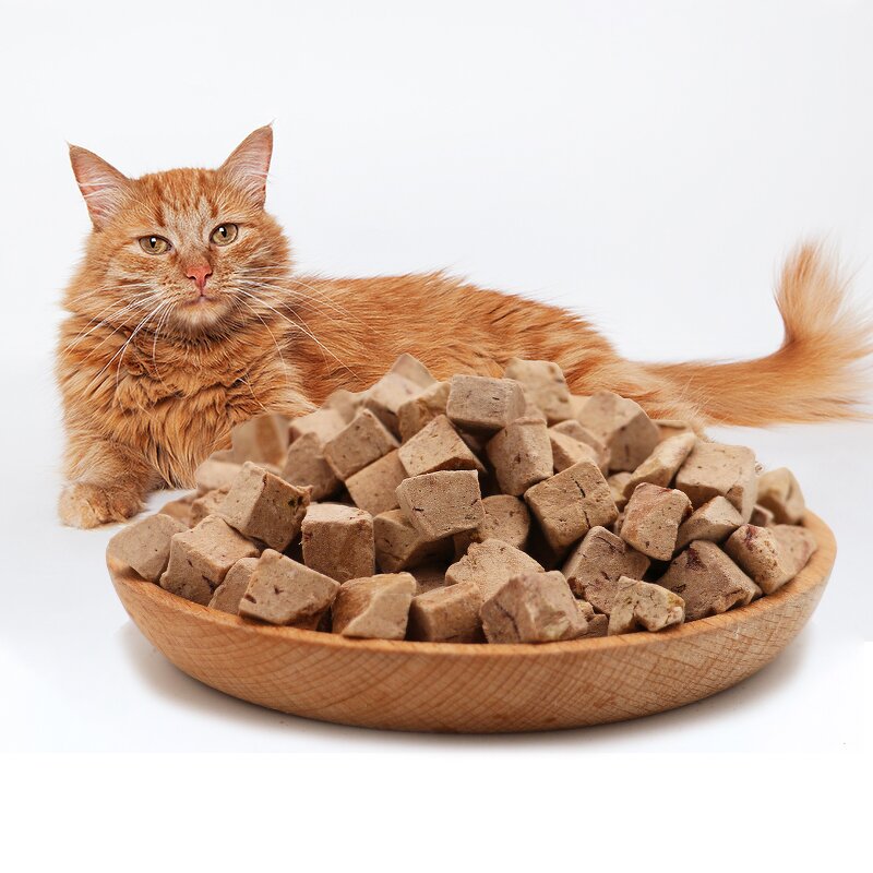 Freeze Dried Cat Food Supplier - Natural Formula for Skin Care Nutrition