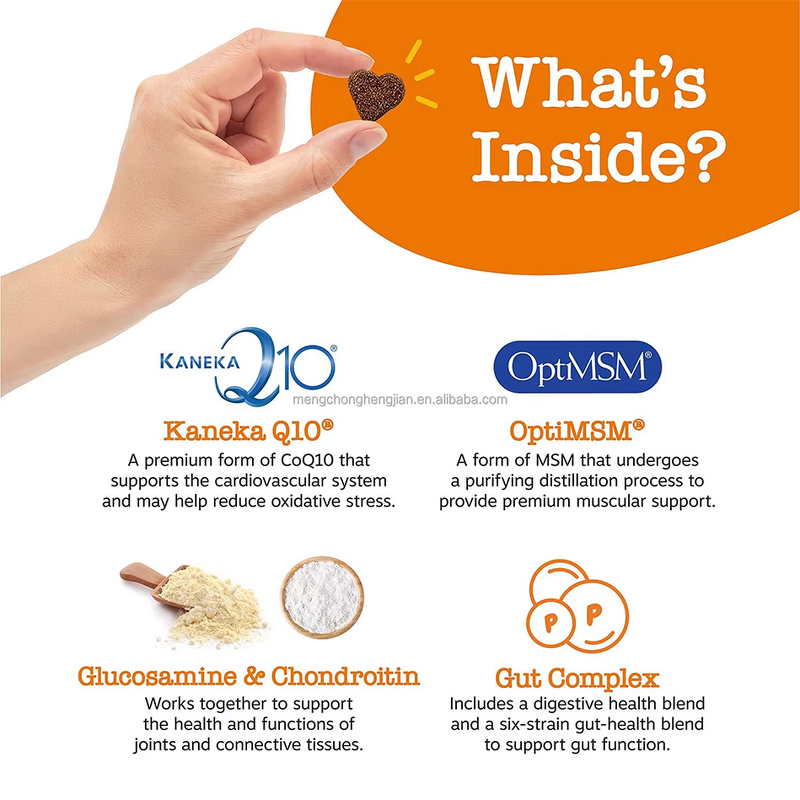 Probiotic Soft Chews Manufacturer - Low MOQ for Gut Joint Health