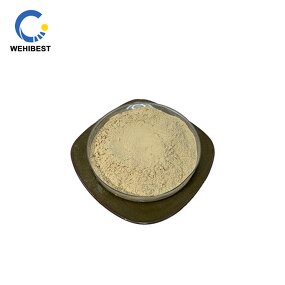 ISOQUERCITRIN Supplier - CAS 482-35-9 Manufacturer Supply Powder