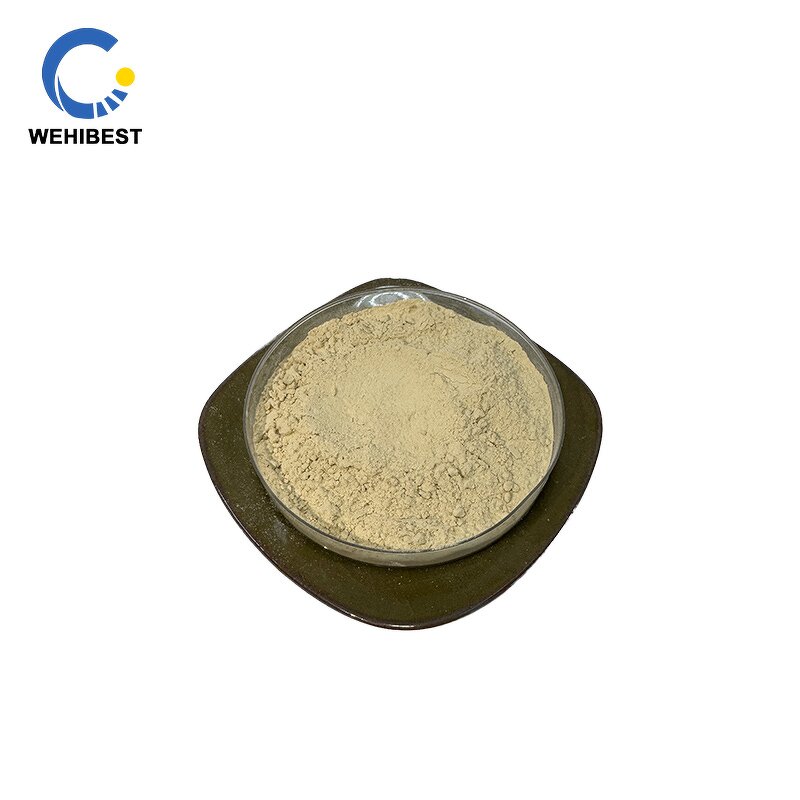 ISOQUERCITRIN Supplier - CAS 482-35-9 Manufacturer Supply Powder