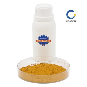 Quercetin Dihydrate Manufacturer - CAS 6151-25-3 Factory Supply Powder
