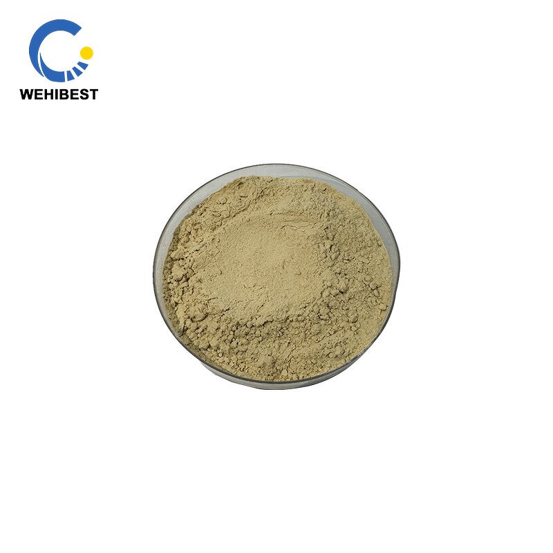 Silymarin Supplier - CAS 65666-07-1 Factory Supply Powder