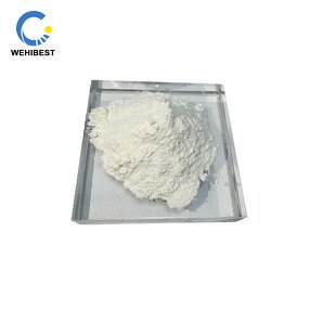 Sodium Metasilicate Pentahydrate Supplier - CAS 10213-79-3 Competitive Prices Best Selling