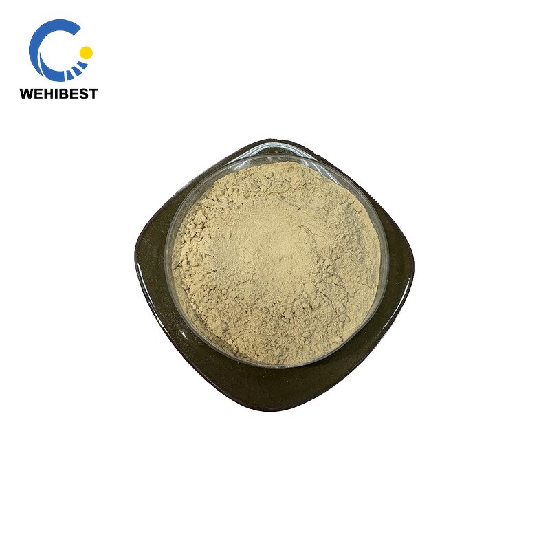 Fucoxanthin Manufacturer - CAS 3351-86-8 Factory Supply Powder