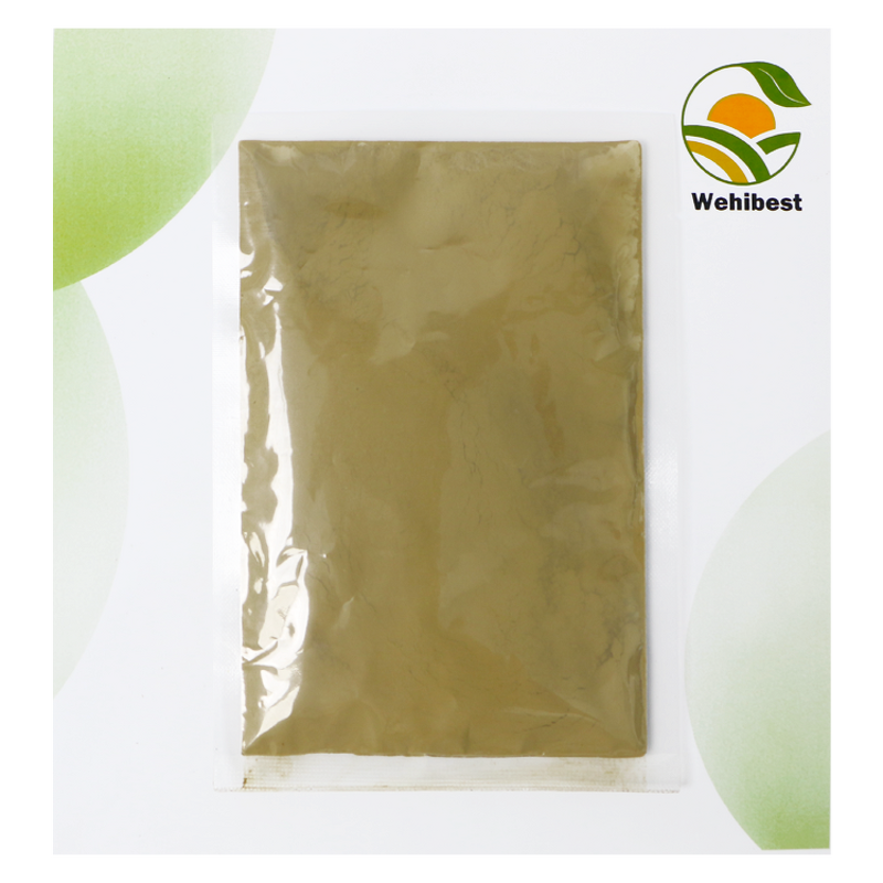 Humic Acid Plant Hormone Supplier - CAS 479-66-3 Hot Selling Fertilizer