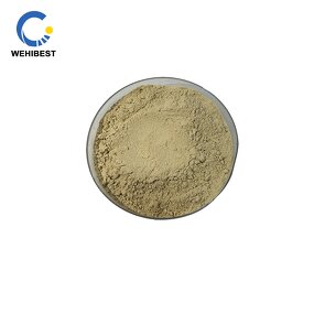 Fucoxanthin Manufacturer - CAS 3351-86-8 Factory Supply Powder