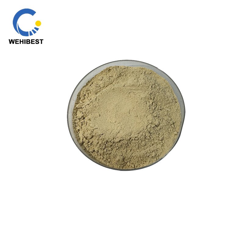 ISOQUERCITRIN Supplier - CAS 482-35-9 Manufacturer Supply Powder