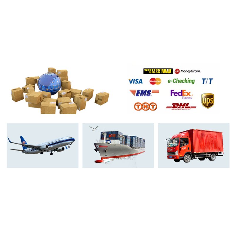 2-Methyltetrahydrofuran-3-thiol Supplier - CAS 57124-87-5 Hot Sale Liquid