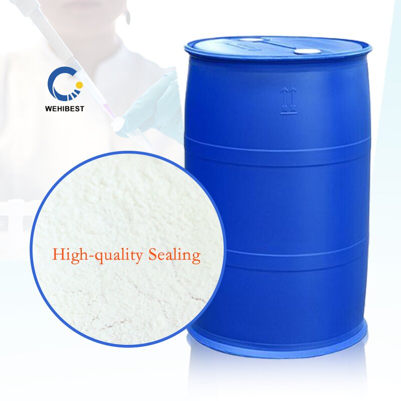 Potassium Carbonate Manufacturer - CAS 584-08-7 High Quality White Powder