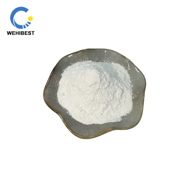 Methyl Cellulose Manufacturer - MC CAS 9004-67-5 Powder Factory Supply