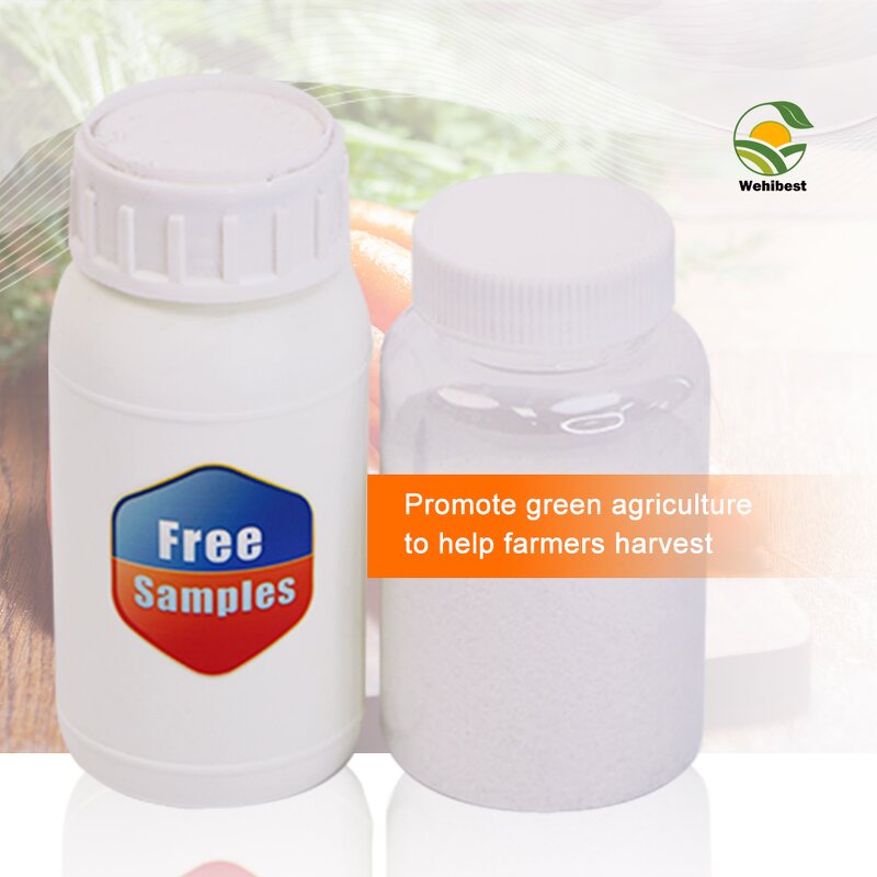 Forchlorfenuron CPPU Supplier - 98%TC CAS 68157-60-8 Price for Kiwi Melon