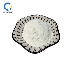 Cellulose Acetate Manufacturer - CAS 9004-35-7 Reliable Quality Fast Delivery