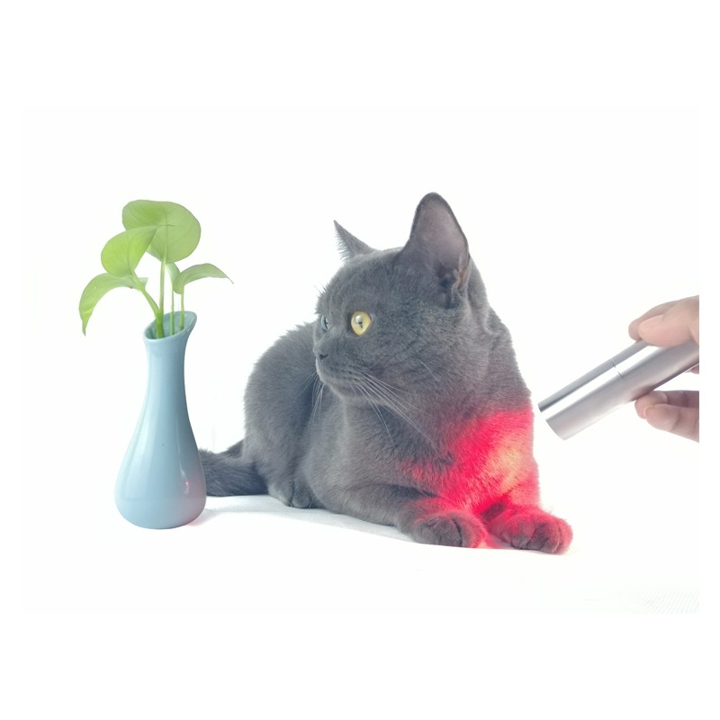Kinreen Medical Devices Back LED Therapy Light for Human and Animals