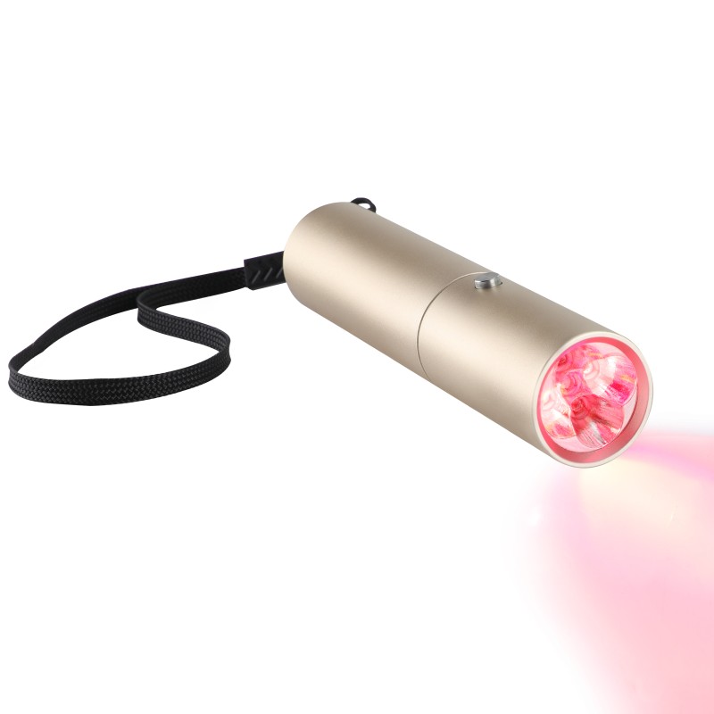 Hot Seller Handheld Customized Logo Blue/Red/Infrared Light Therapy Torch Portable LED Light Device