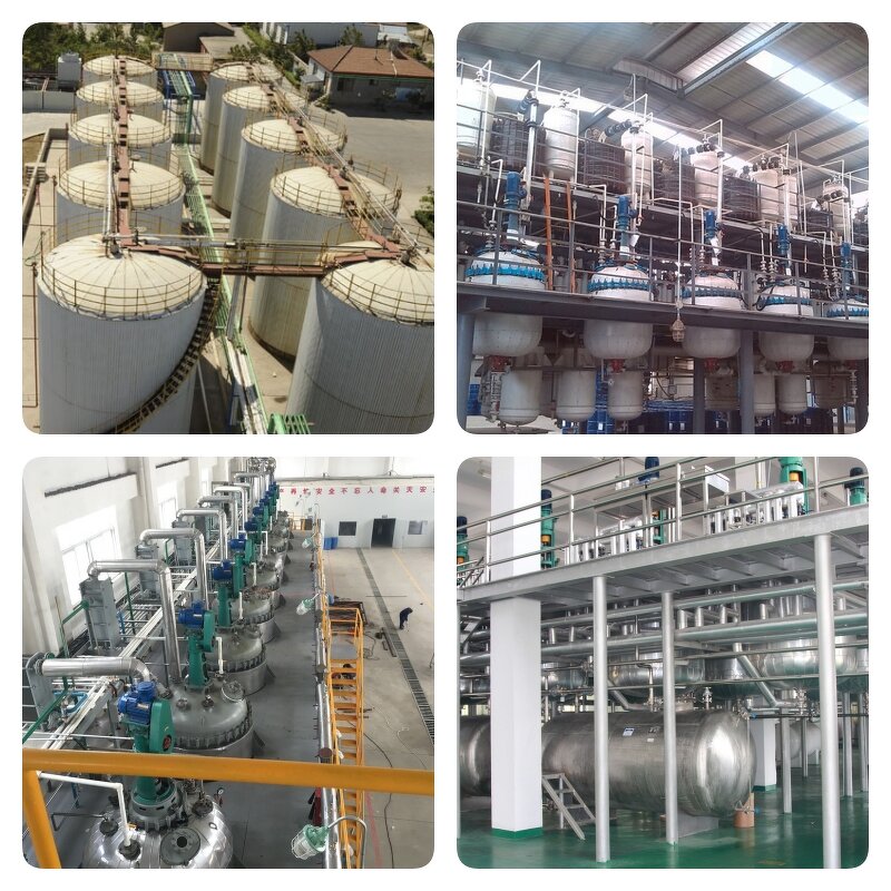 Undecylenoyl Phenylalanine Supplier - High Quality CAS