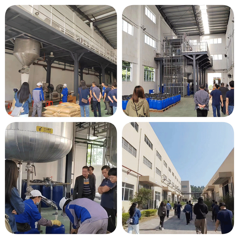 Sodium Aluminum Phosphate Supplier - SALP CAS 7785-88-8