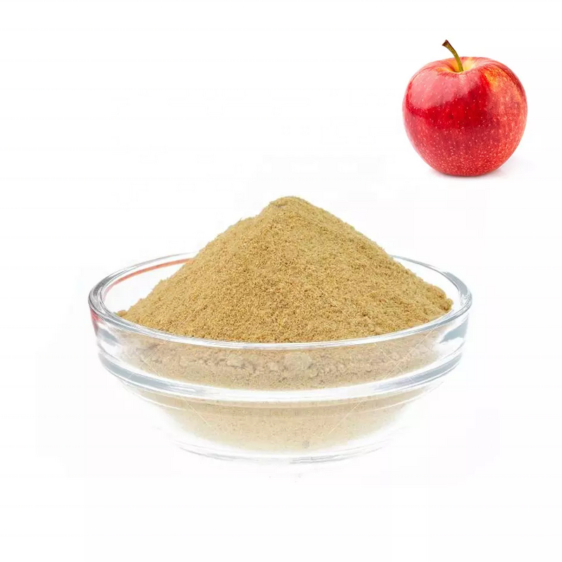 Pectin Powder Supplier - Apple Pectin Gum Additive BP USP