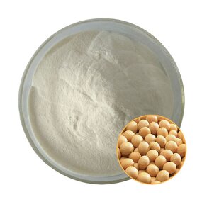 Soy Protein Isolate Supplier - 100% Natural Extract Price