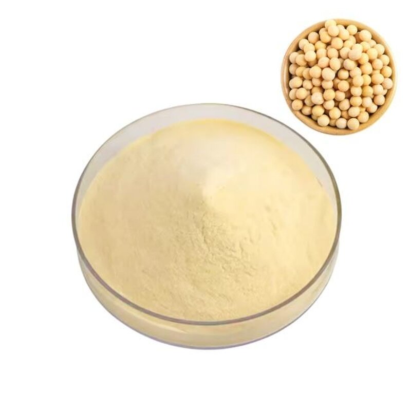 Soy Protein Isolate Supplier - Non-GMO Concentrated 90%