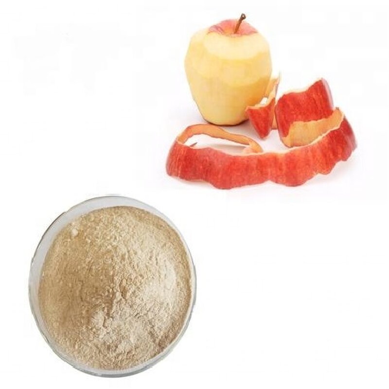 Pectin Powder Supplier - Apple Pectin Gum Additive BP USP