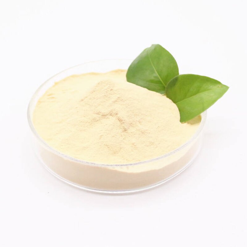 Soy Protein Isolate Supplier - Non-GMO Concentrated 90%