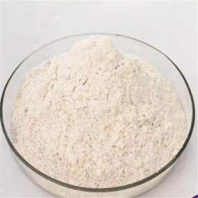 Agar-agar Powder Supplier - Seaweed Extract Bulk Price