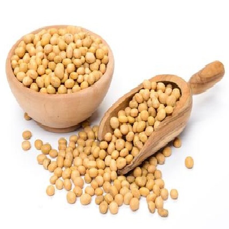 Soy Lecithin Supplier - E322 Caramel Color CAS