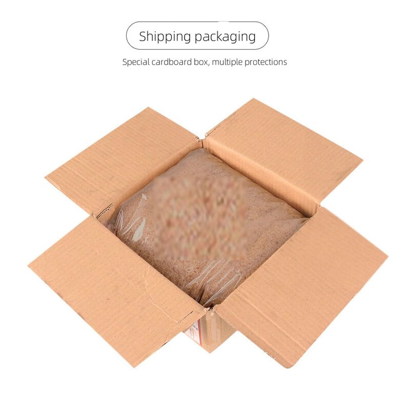 Sweet Orange Popcorn Candy Manufacturer - OEM Flavored Edible for Convenience Stores