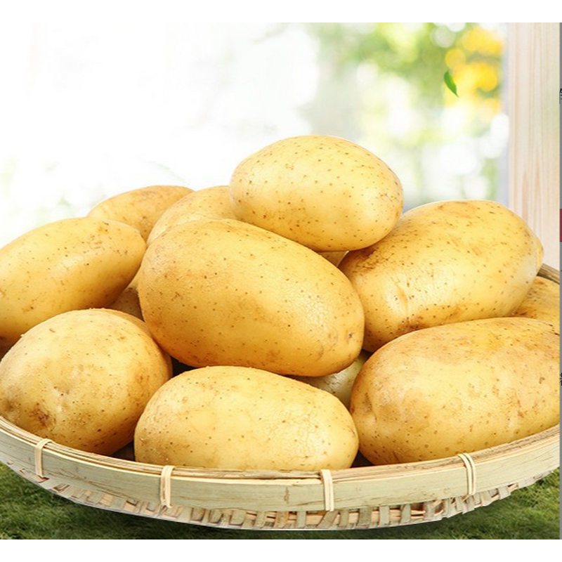 Potato Oil Flavor Manufacturer - Natural Organic Extract Oil-soluble for Dessert Cake