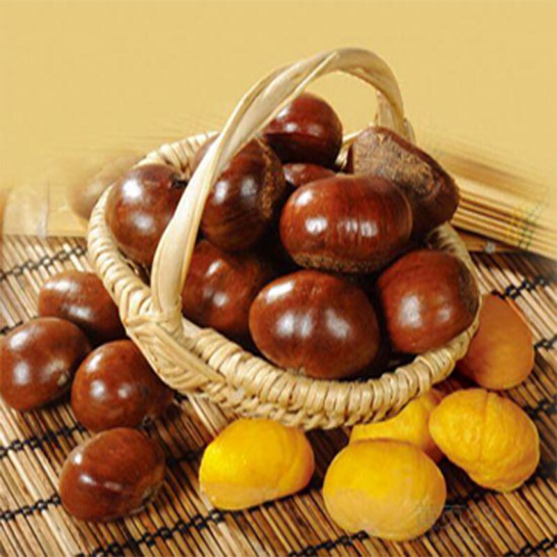 Chinese Chestnut Oil Flavor Supplier - Natural Extraction Concentrated for Cakes Cookies