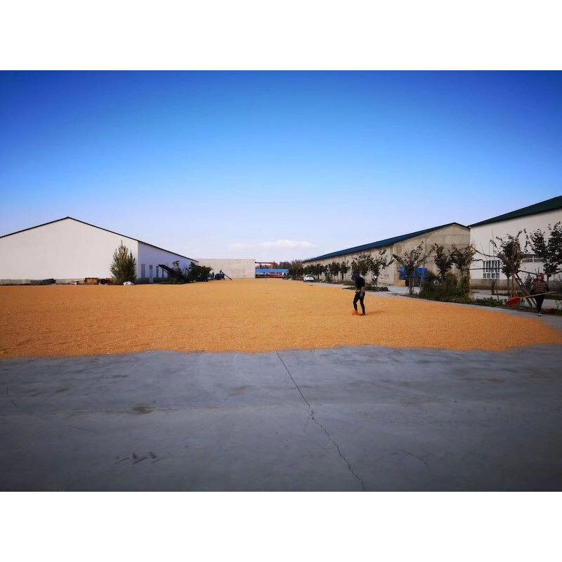 Coconut Butter Oil Supplier - Cheap Price Cooking Oil for Popcorn Making USA Canada