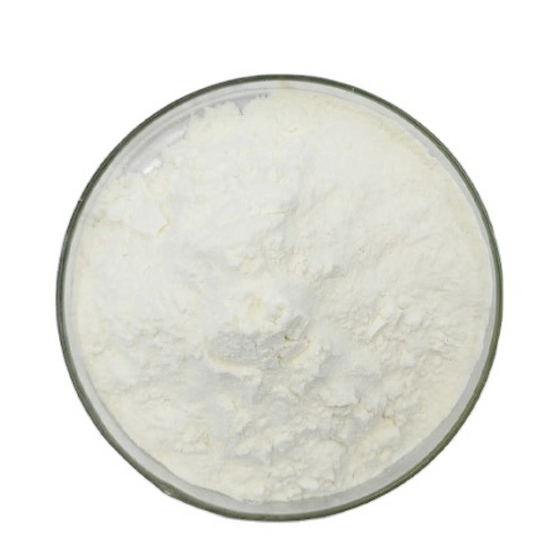 Chitosan Supplier - Natural Biopolymer Preservative for Cosmetics Pharmaceutical
