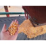 Best Oil for Popcorn