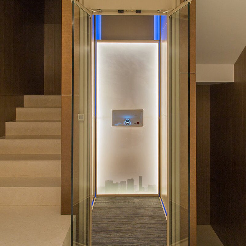 Office Passenger Elevator Manufacturer - Custom Luxury Cabin