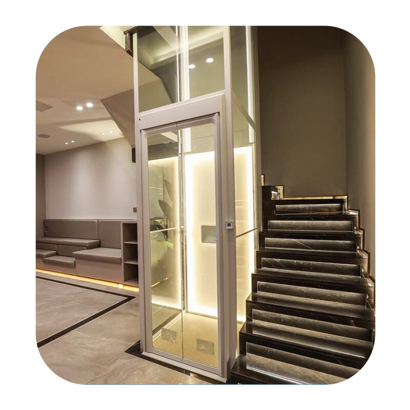 Villa Elevator Manufacturer - Small Sightseeing Lift for 4-5 Person
