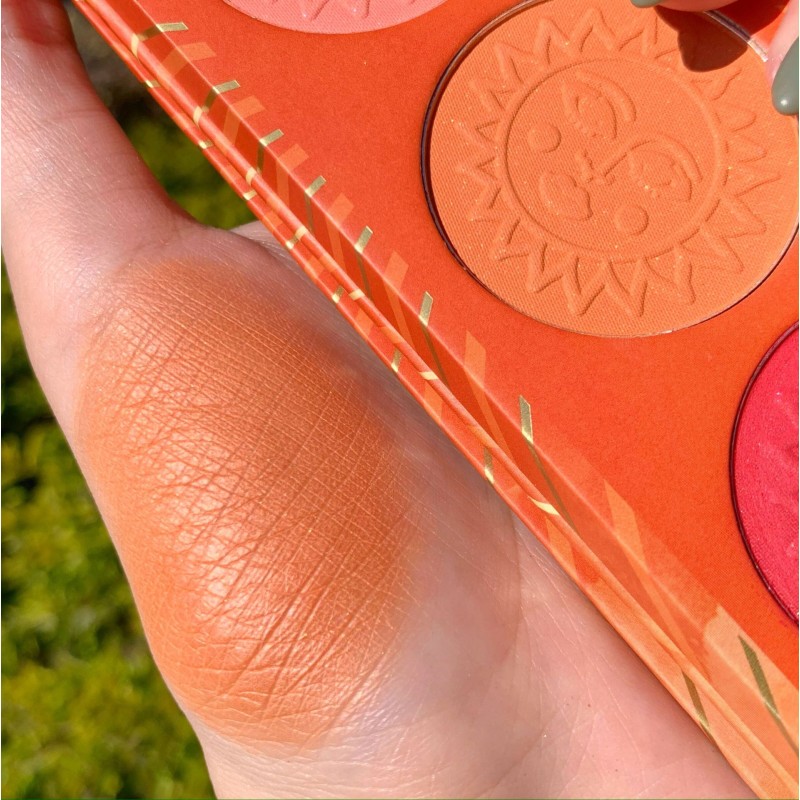 Cheek Blusher Compact Powder Soft and Delicate Makeup Blush Private Label