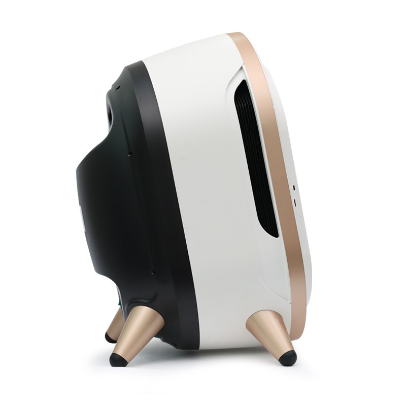 Magic Mirror Facial Wood Lamp Skin Analyzer