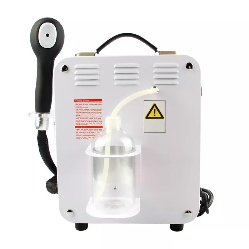 Professional Salon Handheld Micro Mist Nano Hair Steamer Portable Machine