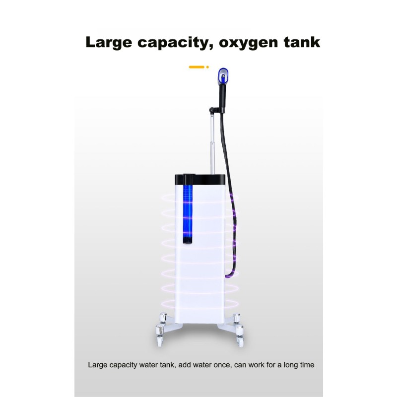 Professional Micro Mist Handheld Hair Spa Nano Steamer Salon Hair Equipment for Beauty Scalp Care