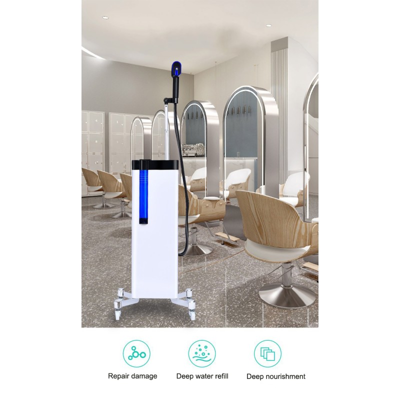 Portable Facial and Head Nano Mist Hair Steamer Best Hair Steamer